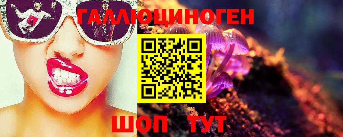 Усть-Илимск  Псилоцибиновые грибы мицелий  Вход с VPN 